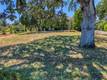 475 SHANNON LANE LAKEPORT, CA 95453