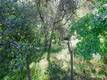 3312 9TH CLEARLAKE, CA 95422