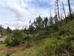 11541 ANDERSON SPRINGS ROAD MIDDLETOWN, CA 95461
