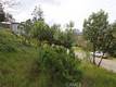 11541 ANDERSON SPRINGS ROAD MIDDLETOWN, CA 95461