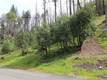 11541 ANDERSON SPRINGS ROAD MIDDLETOWN, CA 95461