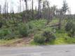 11541 ANDERSON SPRINGS ROAD MIDDLETOWN, CA 95461