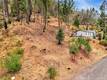 11541 ANDERSON SPRINGS ROAD MIDDLETOWN, CA 95461