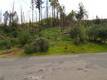 11541 ANDERSON SPRINGS ROAD MIDDLETOWN, CA 95461