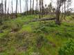 11541 ANDERSON SPRINGS ROAD MIDDLETOWN, CA 95461