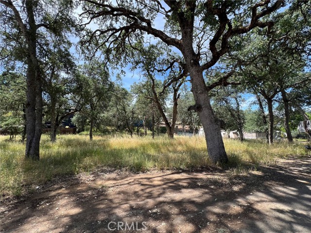 16219 36TH AVENUE CLEARLAKE, CA 95422