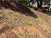 3057 RIVIERA HEIGHTS DRIVE KELSEYVILLE, CA 95451