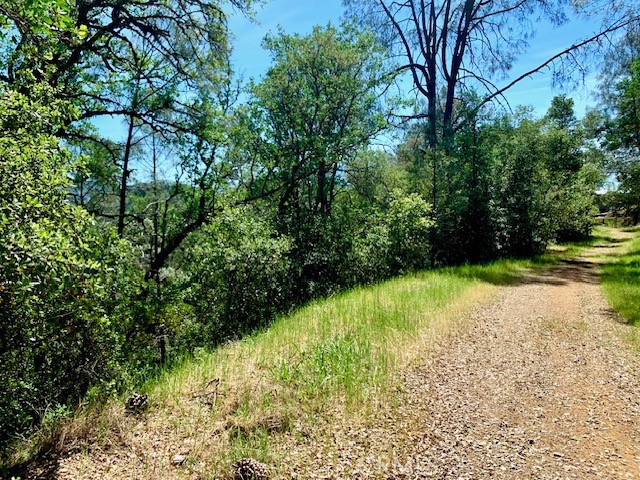 7268 SHASTA NICE, CA 95464