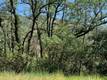 7268 SHASTA NICE, CA 95464