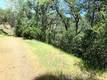 7268 SHASTA NICE, CA 95464