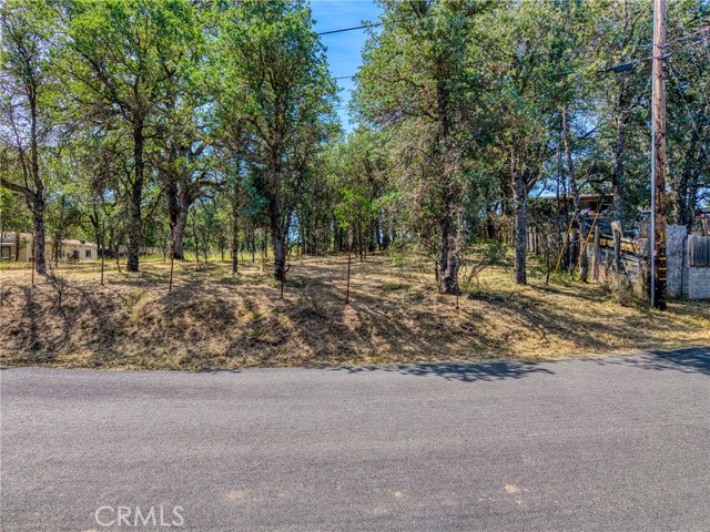 16793 BIG BEAR LOWER LAKE, CA 95457