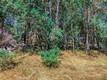 16793 BIG BEAR LOWER LAKE, CA 95457