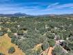 16793 BIG BEAR LOWER LAKE, CA 95457