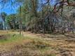 16793 BIG BEAR LOWER LAKE, CA 95457