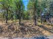 16793 BIG BEAR LOWER LAKE, CA 95457