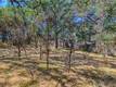 16793 BIG BEAR LOWER LAKE, CA 95457