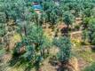 16267 30TH AVENUE CLEARLAKE, CA 95422