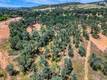 16267 30TH AVENUE CLEARLAKE, CA 95422