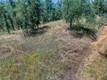 16267 30TH AVENUE CLEARLAKE, CA 95422