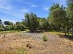 3157 RIVIERA HEIGHTS KELSEYVILLE, CA 95451