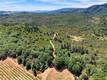 11619 DIENER DRIVE LOWER LAKE, CA 95457