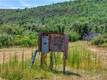 11619 DIENER DRIVE LOWER LAKE, CA 95457