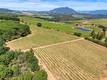 11619 DIENER DRIVE LOWER LAKE, CA 95457