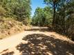 9600 SEIGLER SPRINGS NORTH ROAD KELSEYVILLE, CA 95451