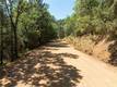 9600 SEIGLER SPRINGS NORTH ROAD KELSEYVILLE, CA 95451