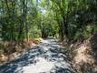 9600 SEIGLER SPRINGS NORTH ROAD KELSEYVILLE, CA 95451