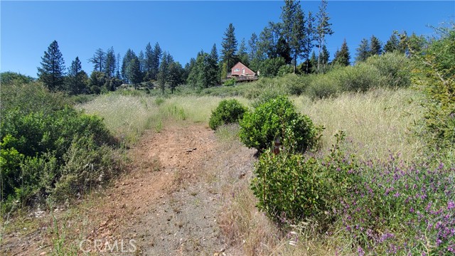 9334 BLEUSS WAY COBB, CA 95426
