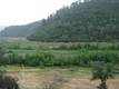18524 BARTLETT SPRINGS ROAD LUCERNE, CA 95458