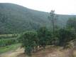 18524 BARTLETT SPRINGS ROAD LUCERNE, CA 95458