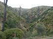 18524 BARTLETT SPRINGS ROAD LUCERNE, CA 95458
