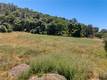 8520 E HIGHWAY 20 LUCERNE, CA 95458