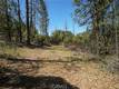 8520 E HIGHWAY 20 LUCERNE, CA 95458