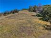 8520 E HIGHWAY 20 LUCERNE, CA 95458