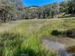 8520 E HIGHWAY 20 LUCERNE, CA 95458