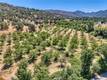 1286 PITNEY LANE UPPER LAKE, CA 95485