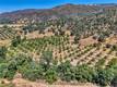 1286 PITNEY LANE UPPER LAKE, CA 95485