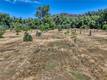 1286 PITNEY LANE UPPER LAKE, CA 95485