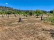 1286 PITNEY LANE UPPER LAKE, CA 95485