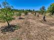 1286 PITNEY LANE UPPER LAKE, CA 95485