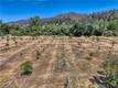 1286 PITNEY LANE UPPER LAKE, CA 95485