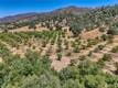 1286 PITNEY LANE UPPER LAKE, CA 95485