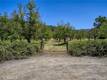 1286 PITNEY LANE UPPER LAKE, CA 95485