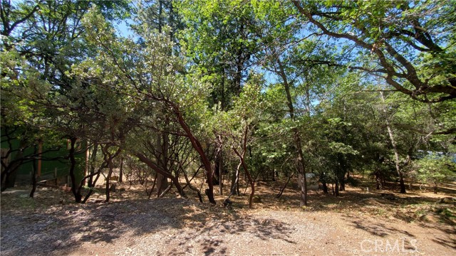 11545 LOCH LOMOND ROAD LOCH LOMOND, CA 95461