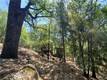 11545 LOCH LOMOND ROAD LOCH LOMOND, CA 95461