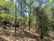 11545 LOCH LOMOND ROAD LOCH LOMOND, CA 95461