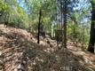11545 LOCH LOMOND ROAD LOCH LOMOND, CA 95461